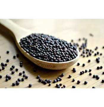 Fresh Black Mustard Seeds